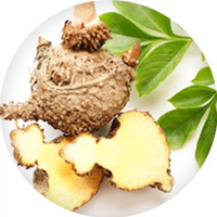 Glucomannan