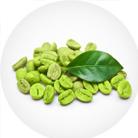 Green Coffee Extract 