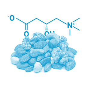 L-carnitine